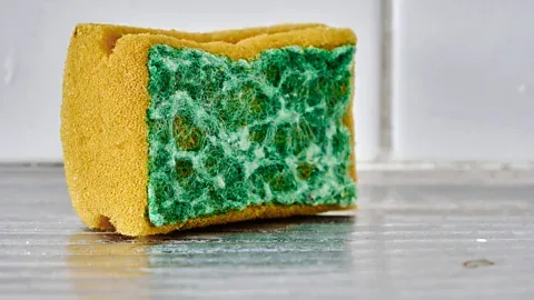 How Often Should You Change Your Kitchen Sponge
