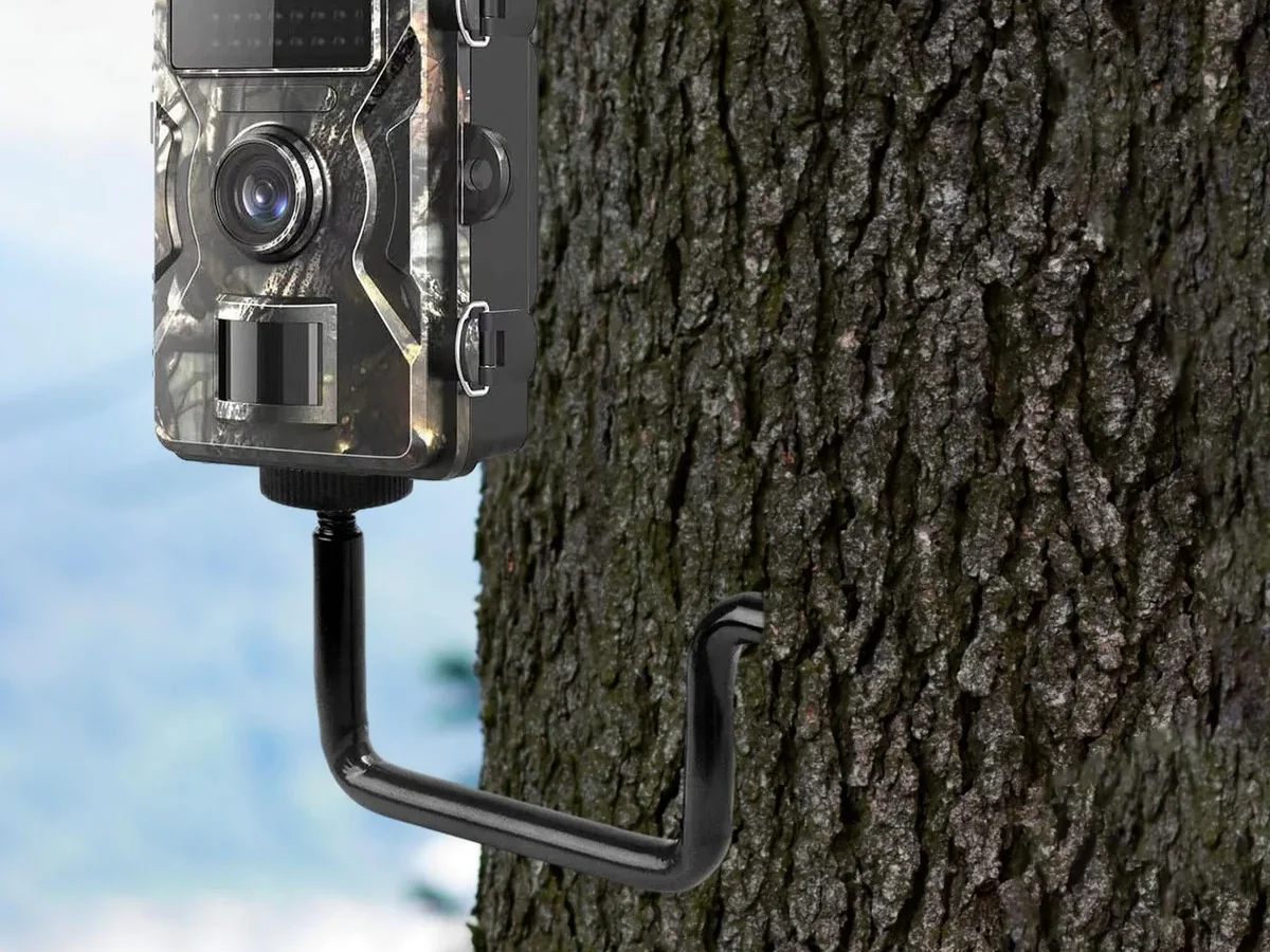 how to aim a trail camera