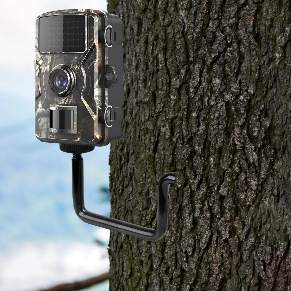 how to aim a trail camera