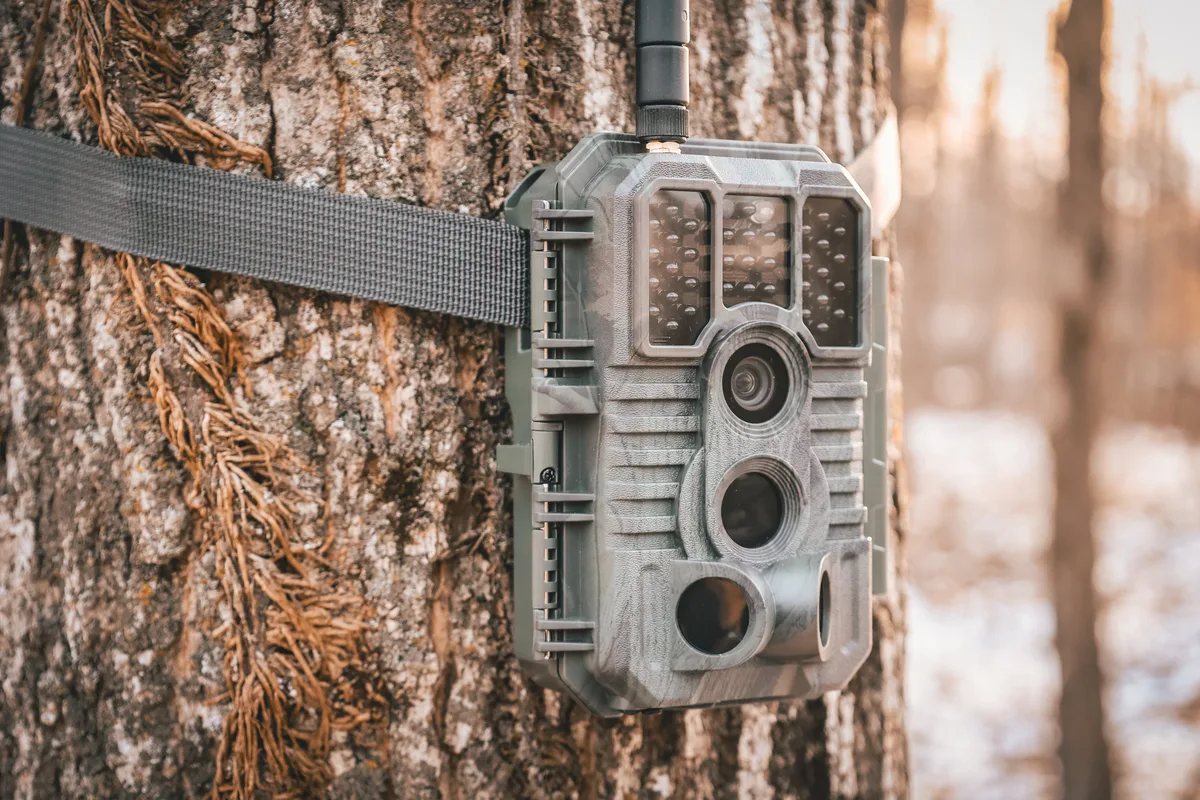 how to hide a trail camera
