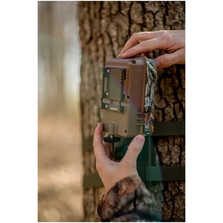 how to improve trail camera detection