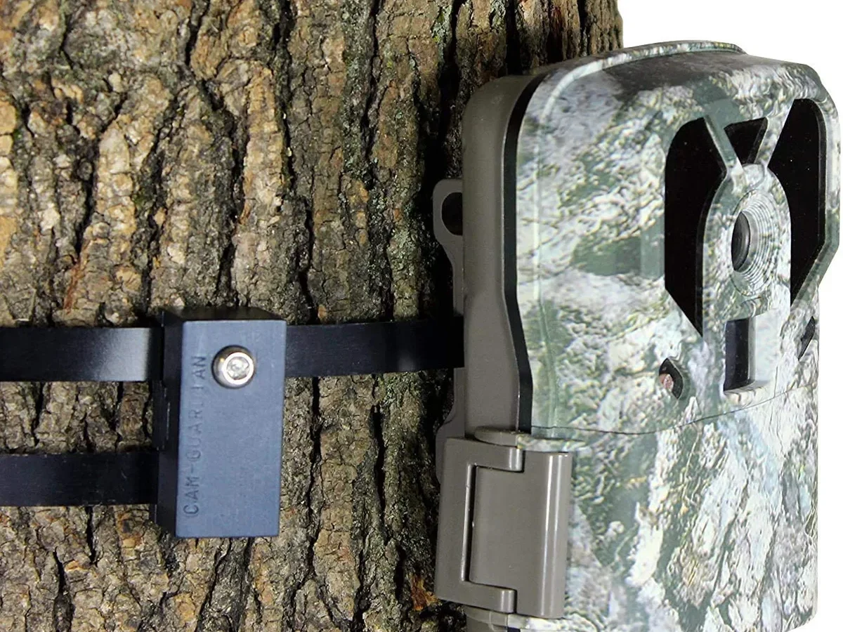 how to mount a trail camera