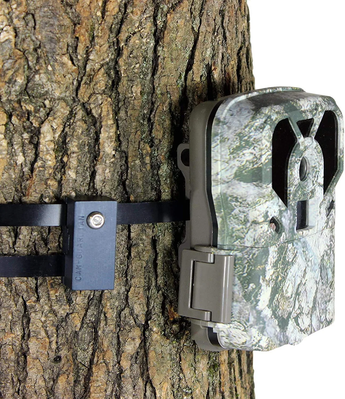 how to mount a trail camera