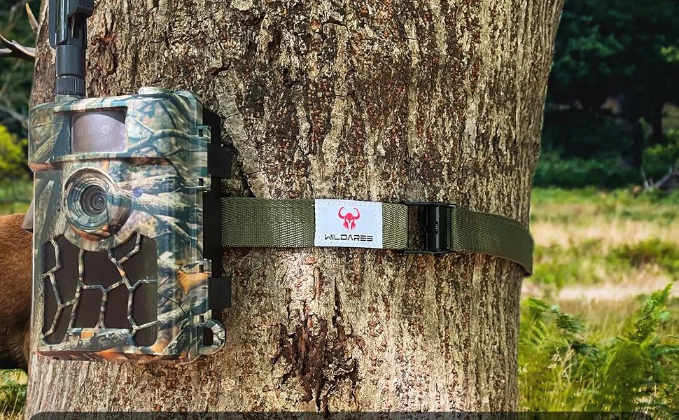 how to position a trail camera