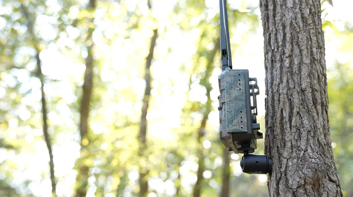 how to reduce trail camera false triggers