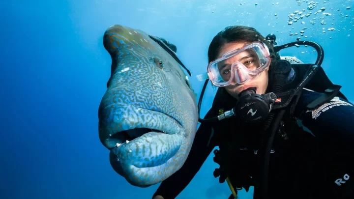 How to Set Underwater Camera Exposure
