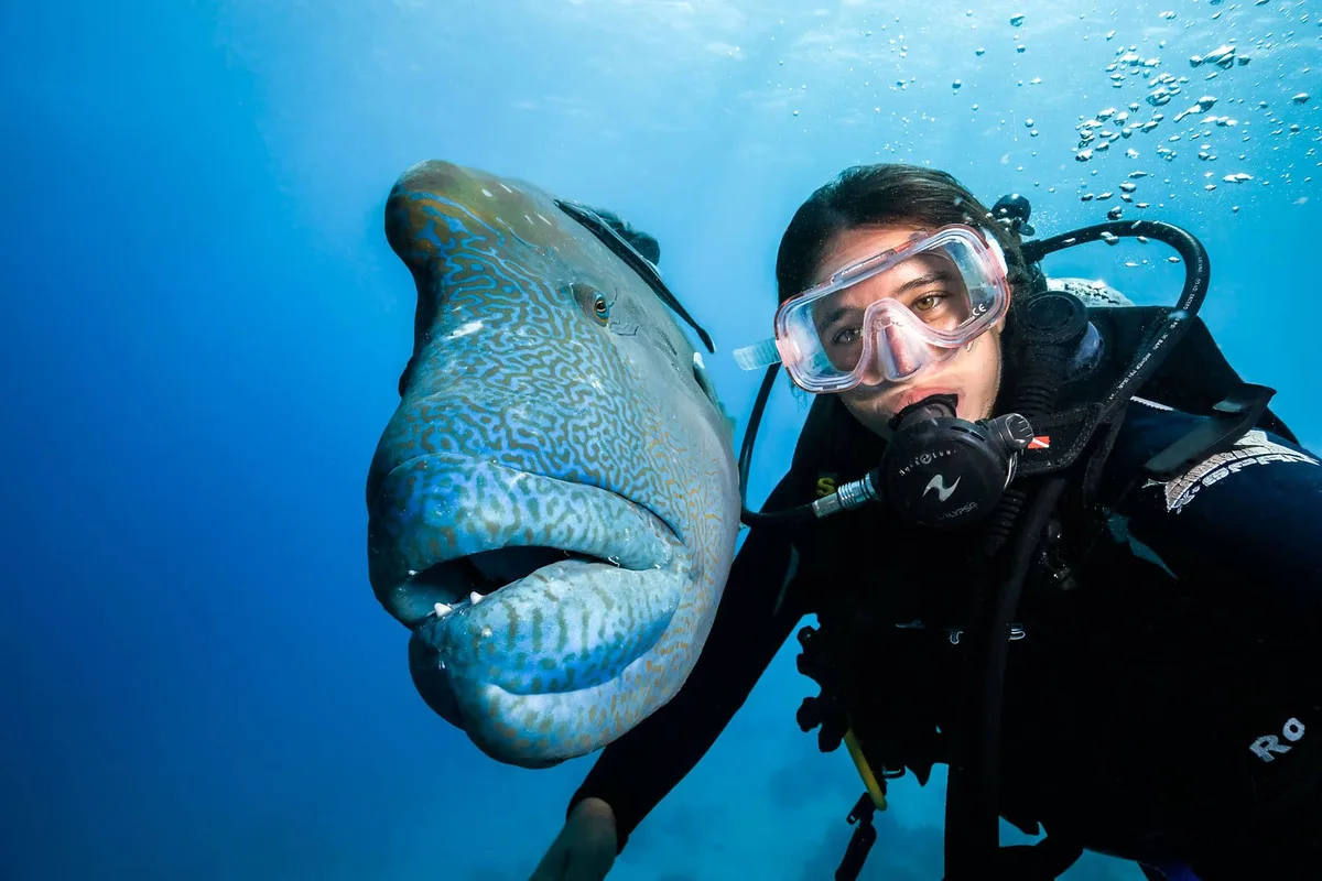 how to set underwater camera exposure