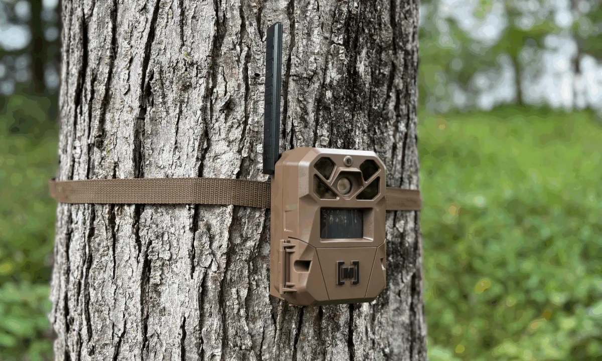 how to set up a trail camera