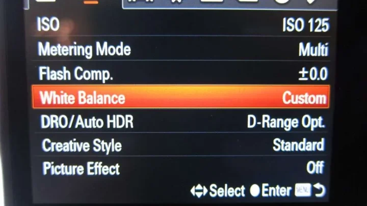 How to Set White Balance on Mirrorless Camera