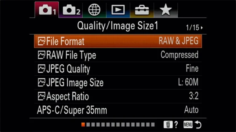 how to shoot RAW with mirrorless camera