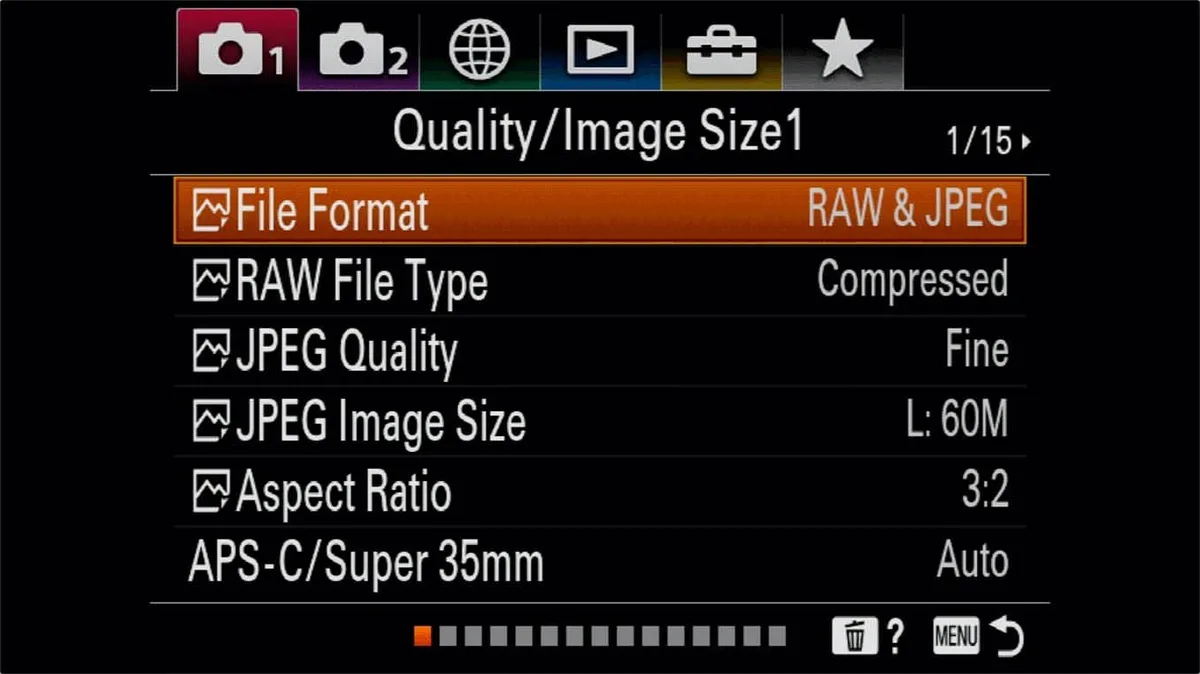 how to shoot RAW with mirrorless camera