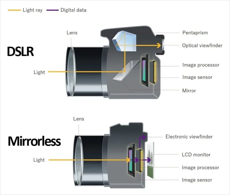 how to troubleshoot mirrorless camera