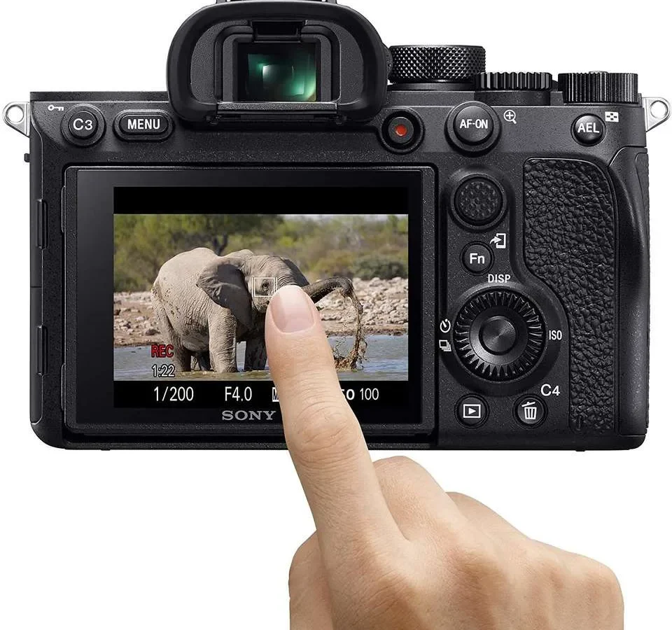 how to use autofocus on mirrorless camera