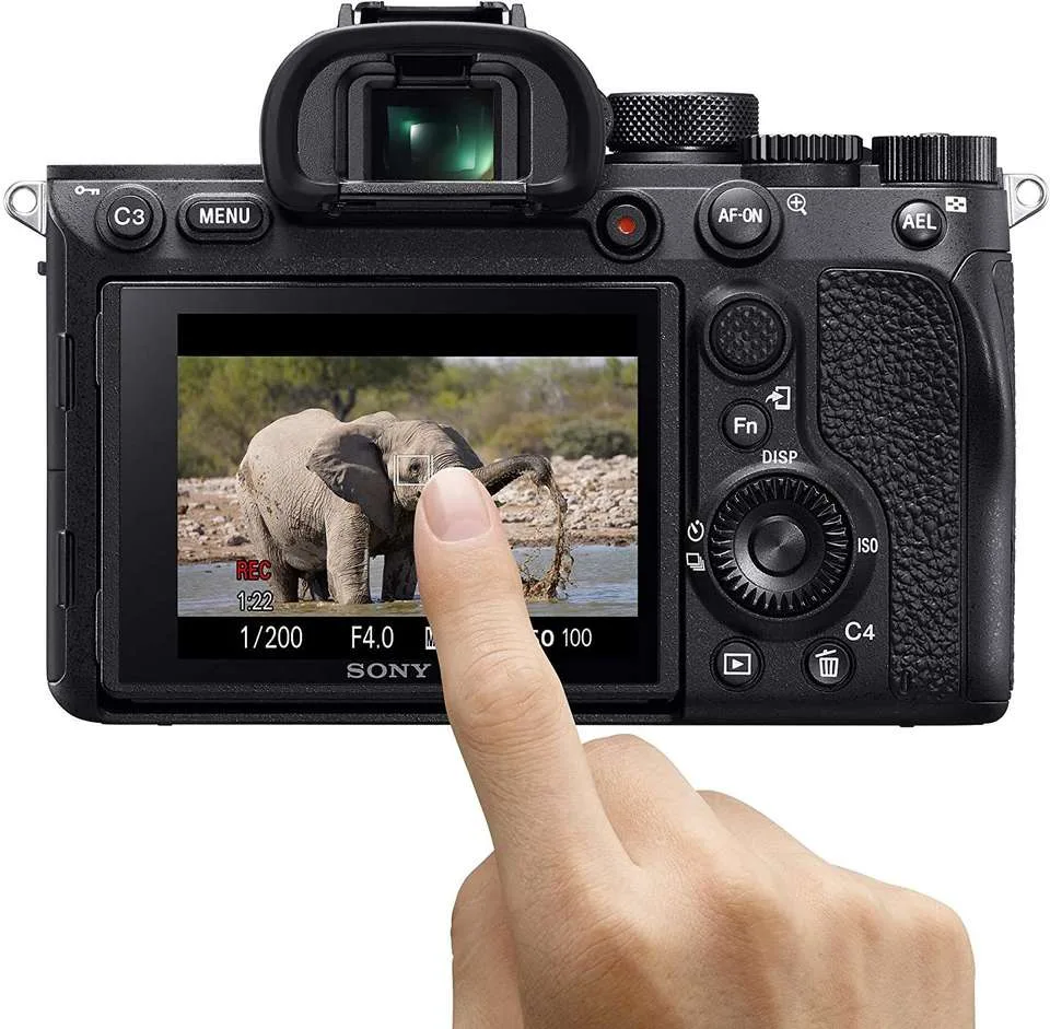 how to use autofocus on mirrorless camera