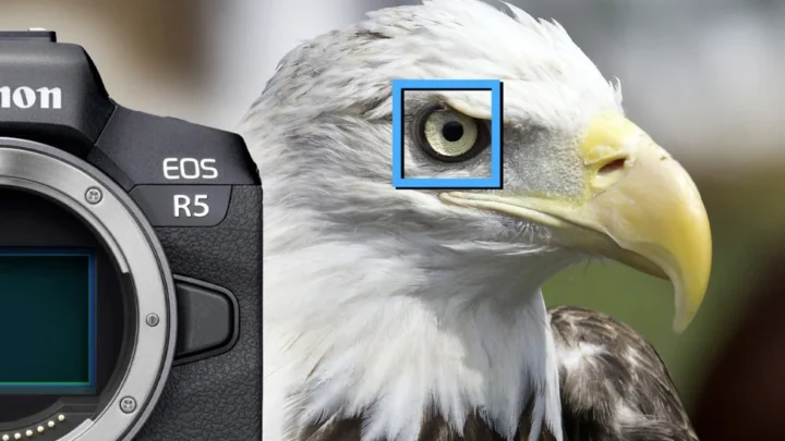 How to Use Eye Autofocus on Mirrorless Camera