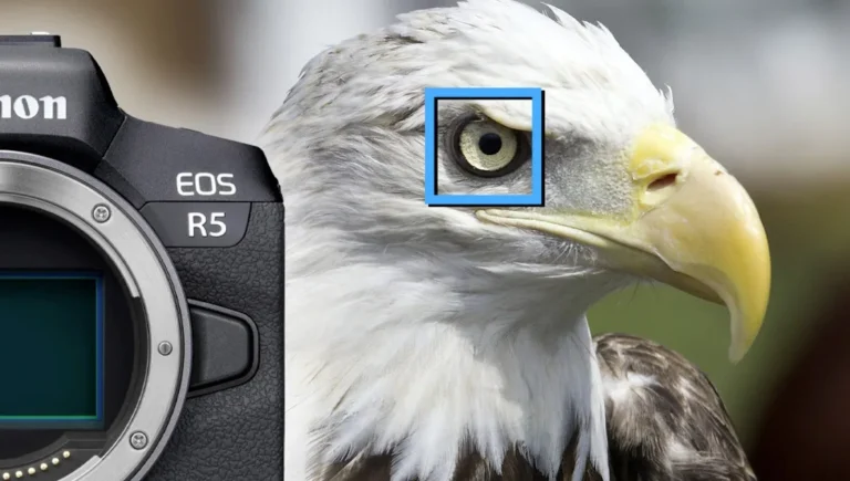 how to use eye autofocus on mirrorless camera
