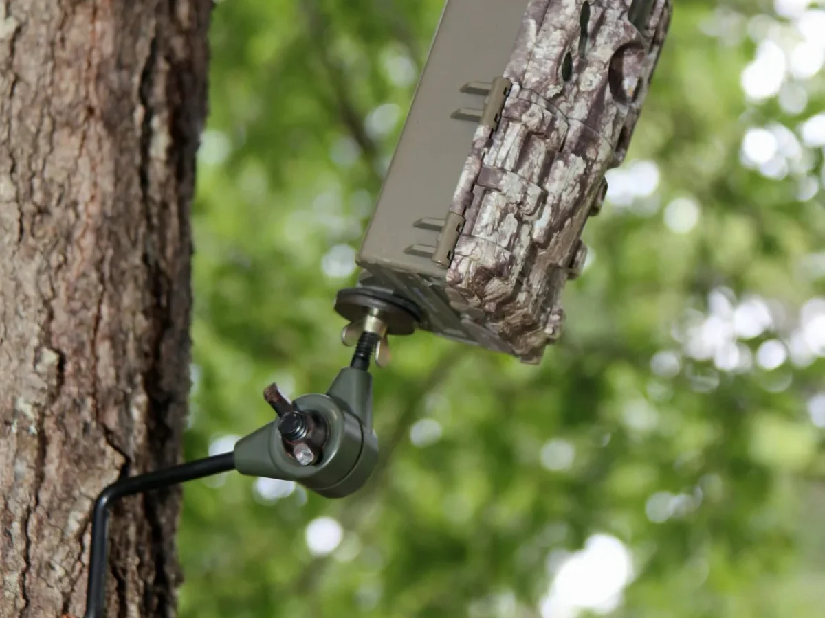 how to use trail camera for deer