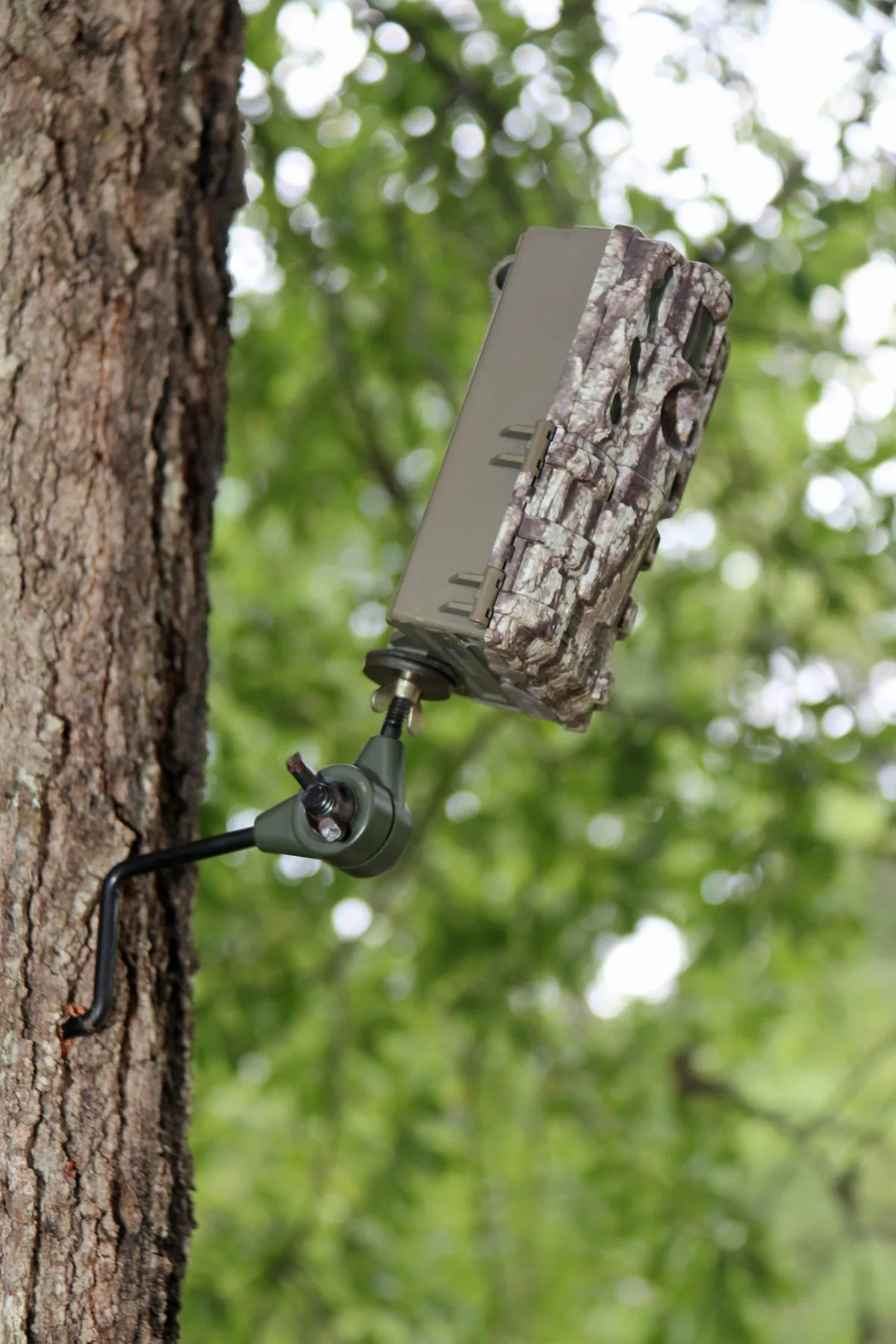 how to use trail camera for deer