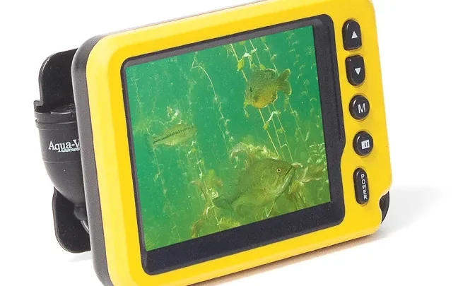 How to Use an Underwater Camera for Fishing