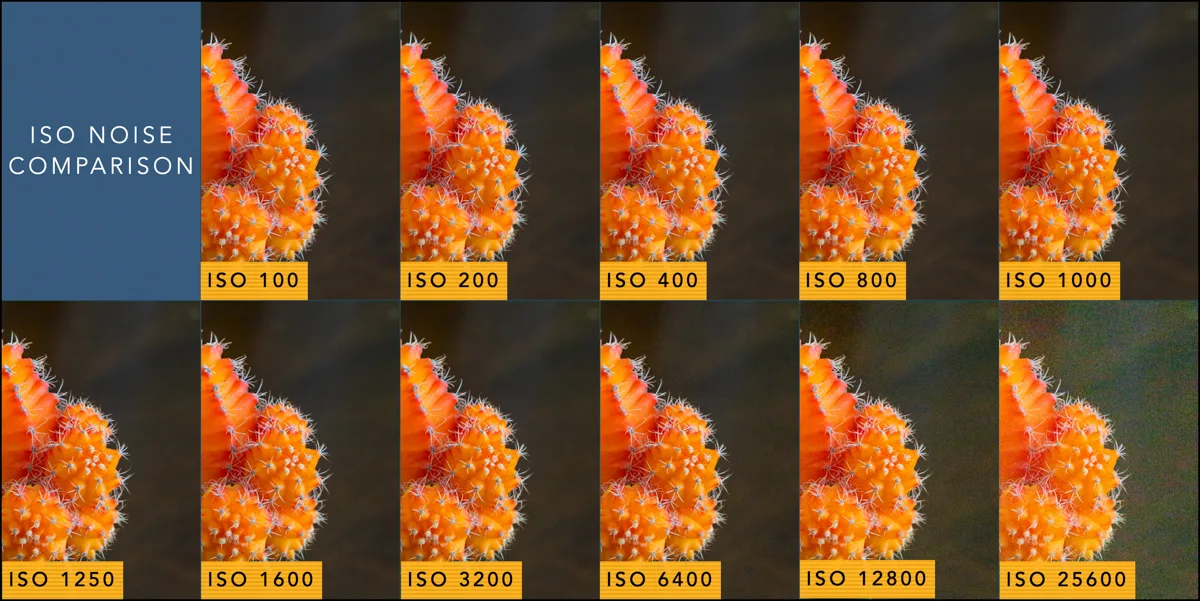 Image noise (luminance / chroma)