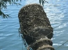 Intake screen / pre-filter cage