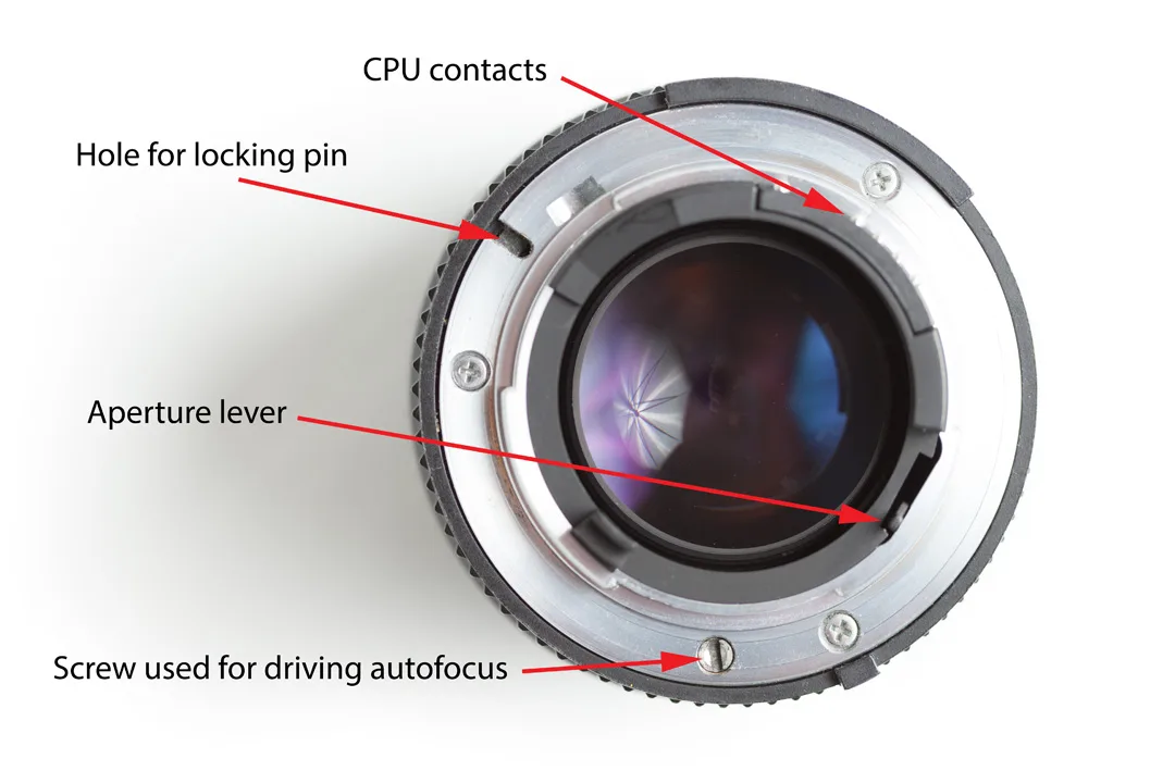 lens contacts cleaning