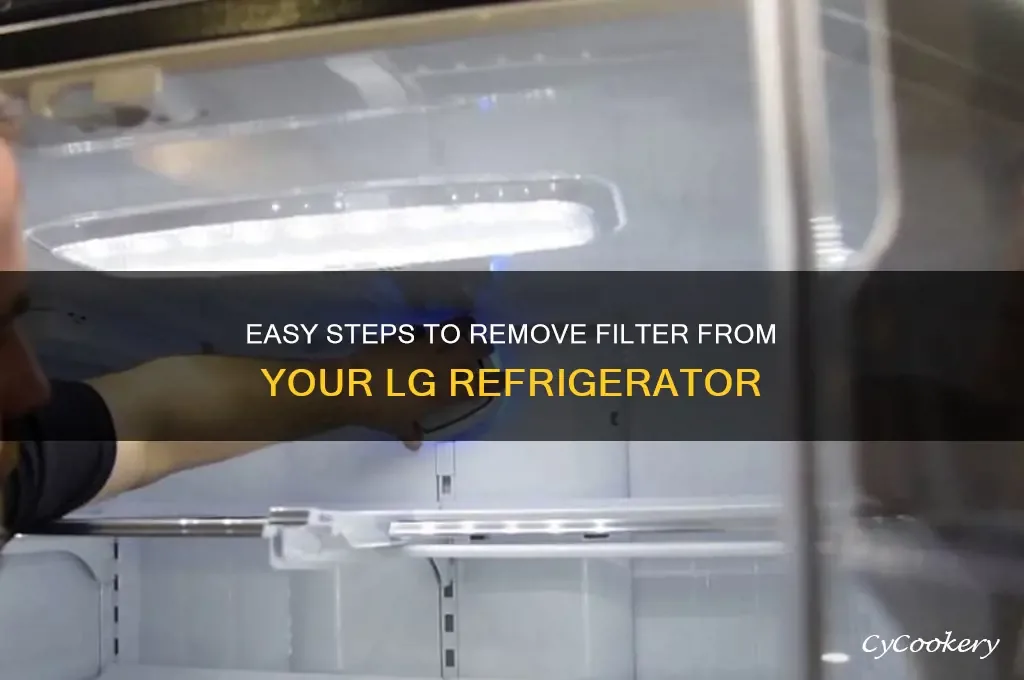 LG refrigerator filter compartment location