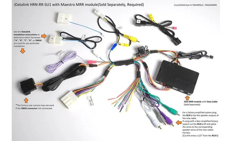 Maestro RR interface module
