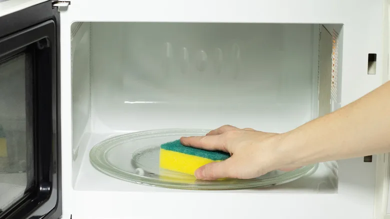 microwave sanitizing sponge