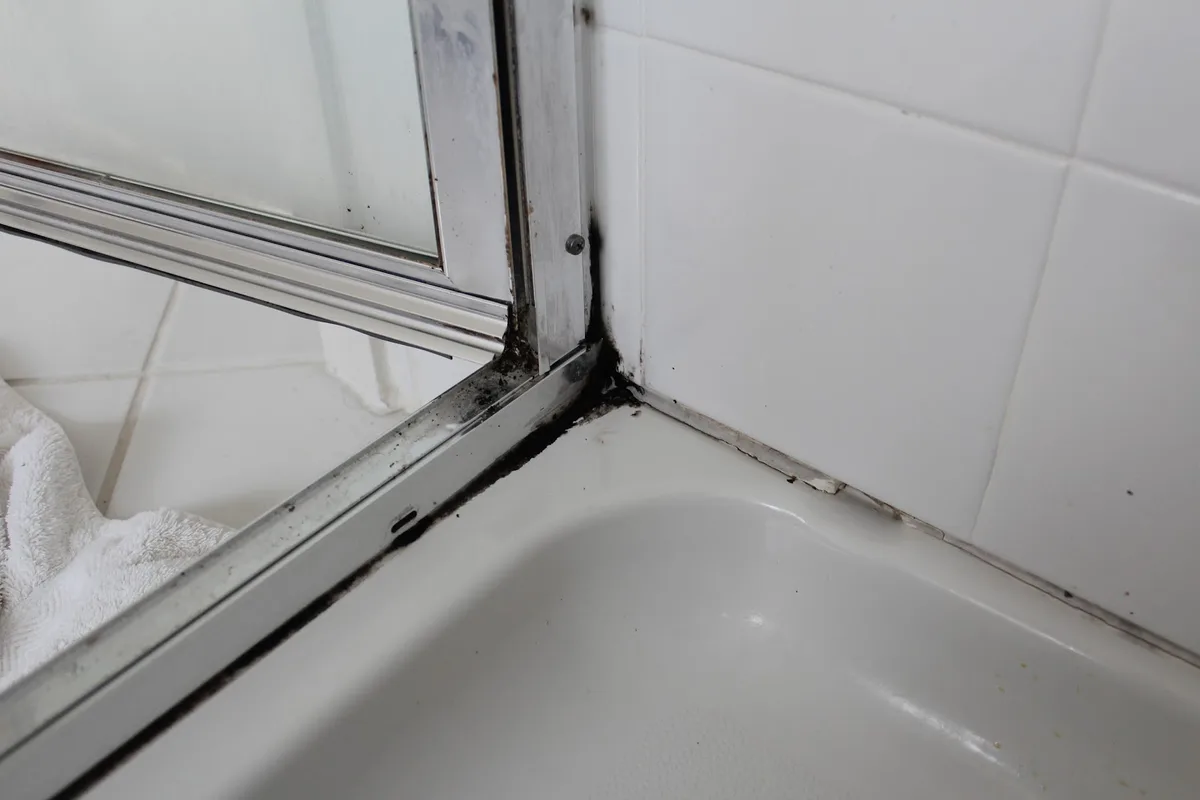 Mildew buildup shower liner