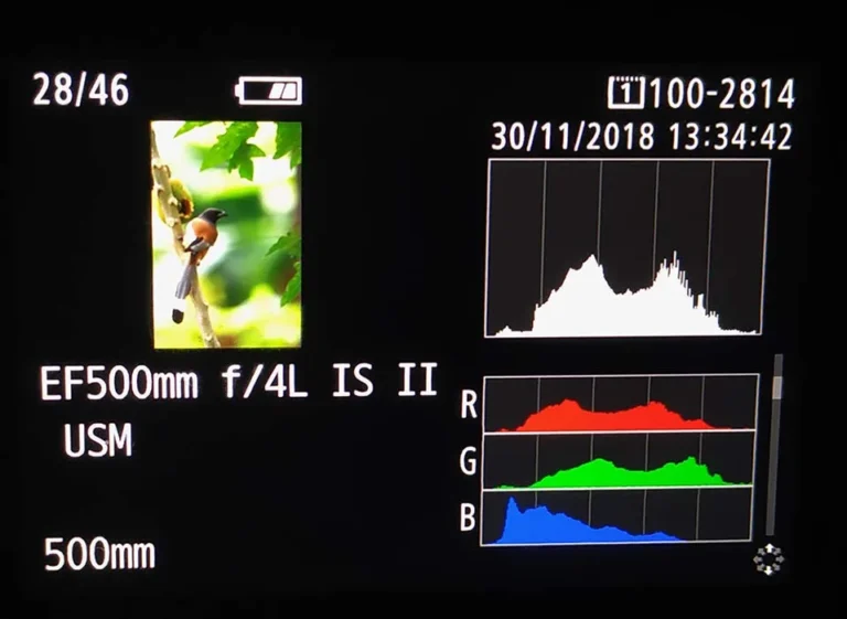 mirrorless camera dark photos troubleshooting