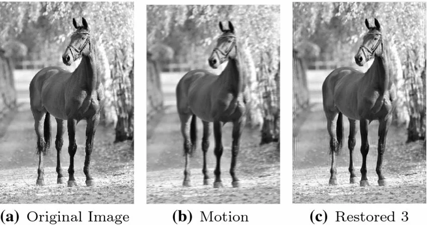 motion blur camera shake vs subject movement