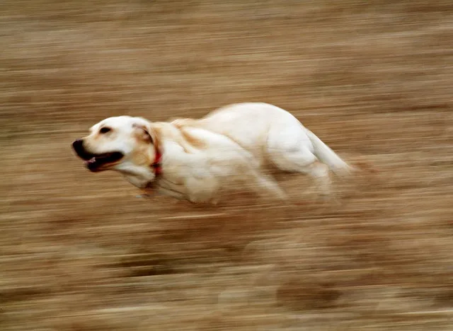 motion blur mistake