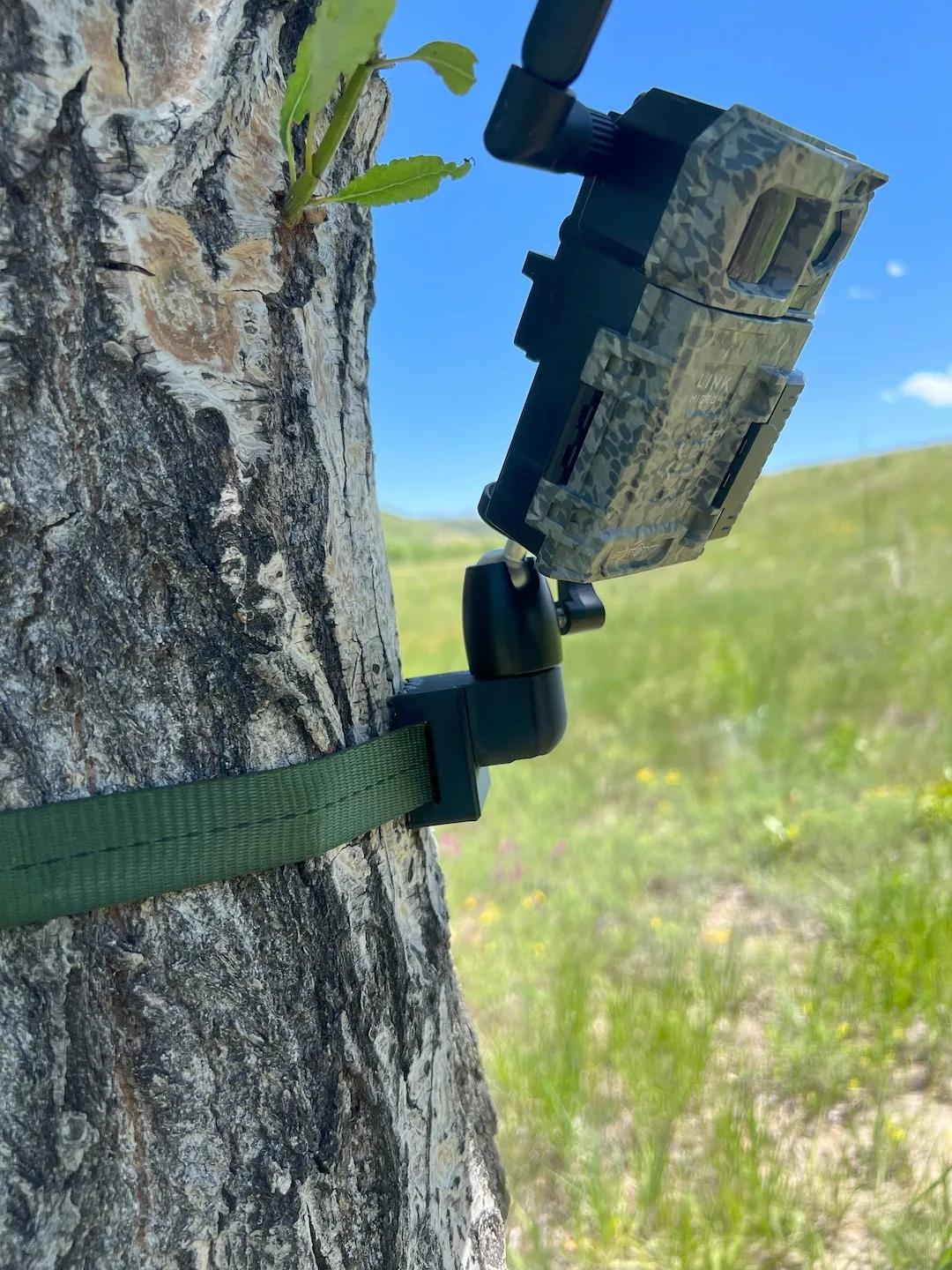 mounting height