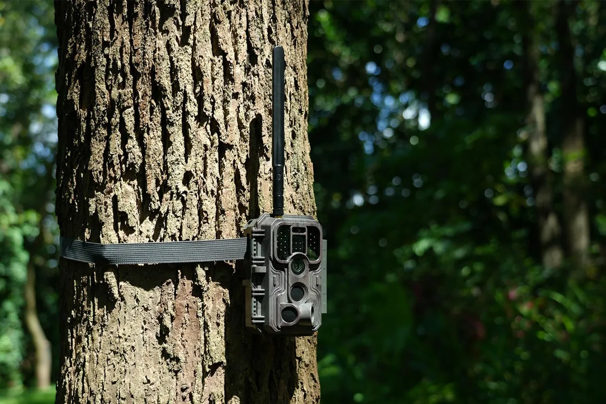 mounting location
