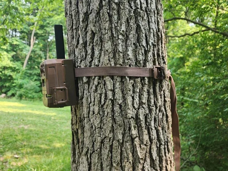 Mounting strap / tree bracket