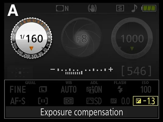 Nikon D3500 viewfinder exposure meter
