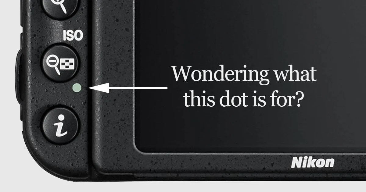 Nikon two-button reset combo