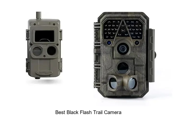 no-glow IR trail camera