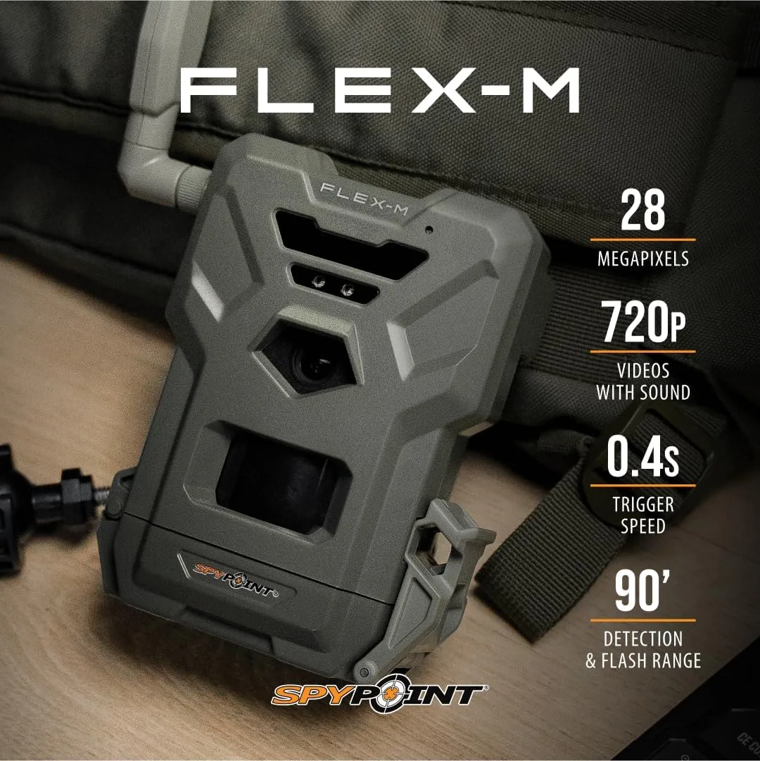 no signal error trail camera