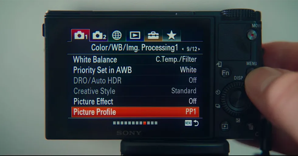 Picture Profiles S-Log3 HLG