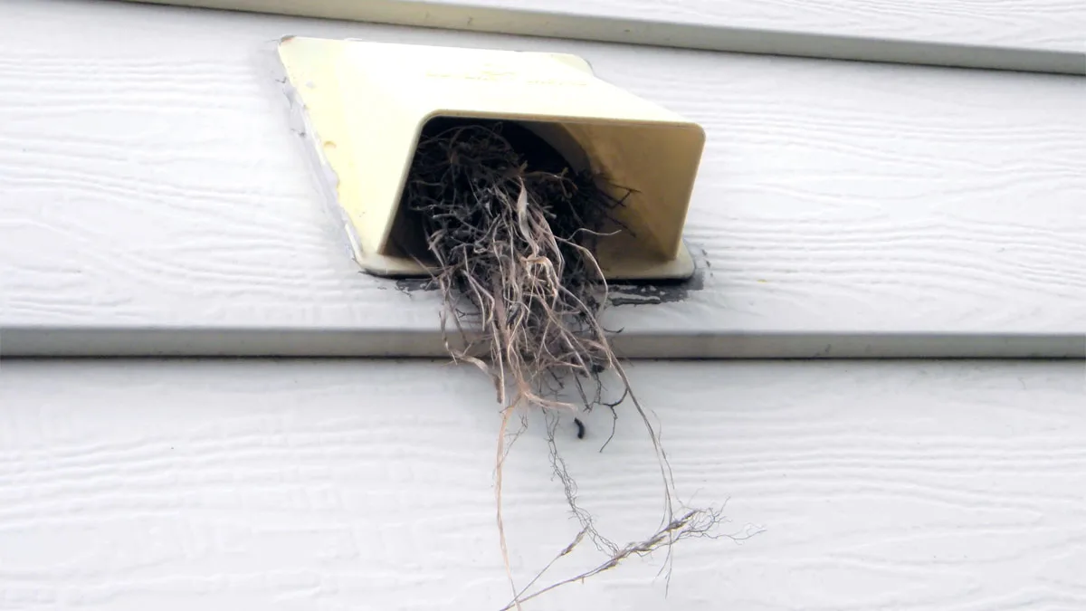 plumbing vent obstruction