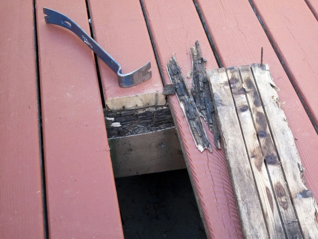 Pressure-treated lumber decay