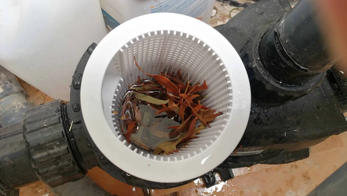 pump basket