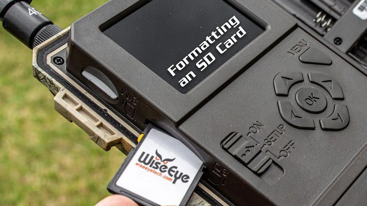 SD card