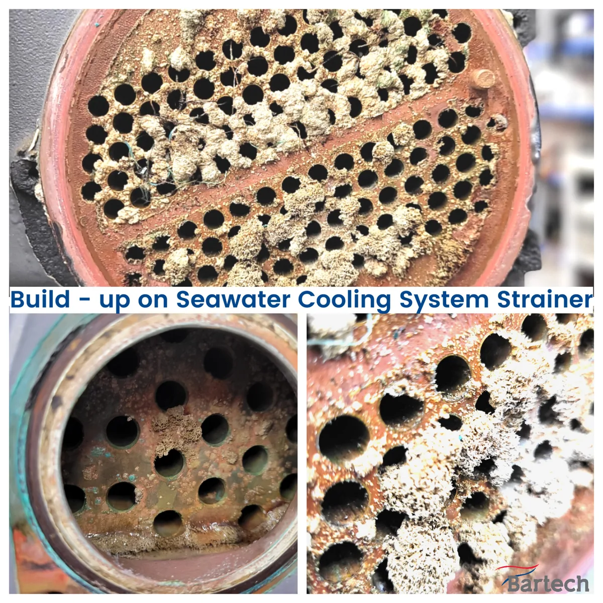 seawater strainer