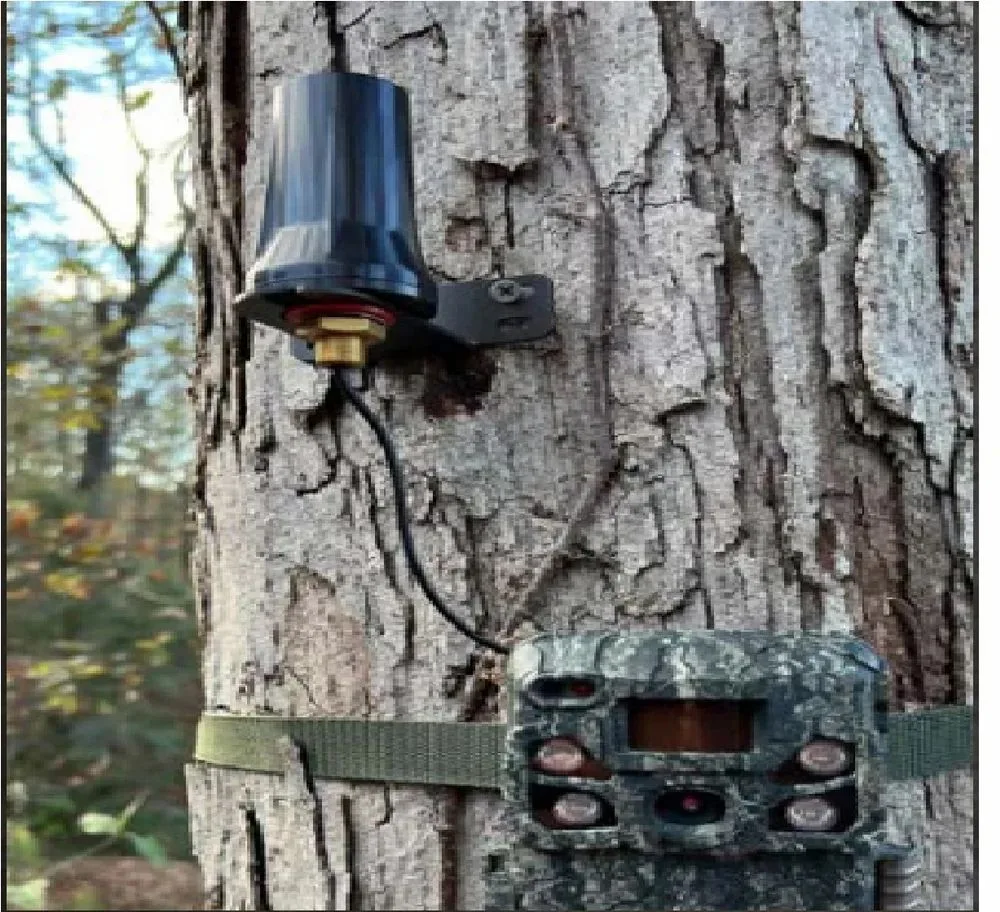 signal booster for trail camera