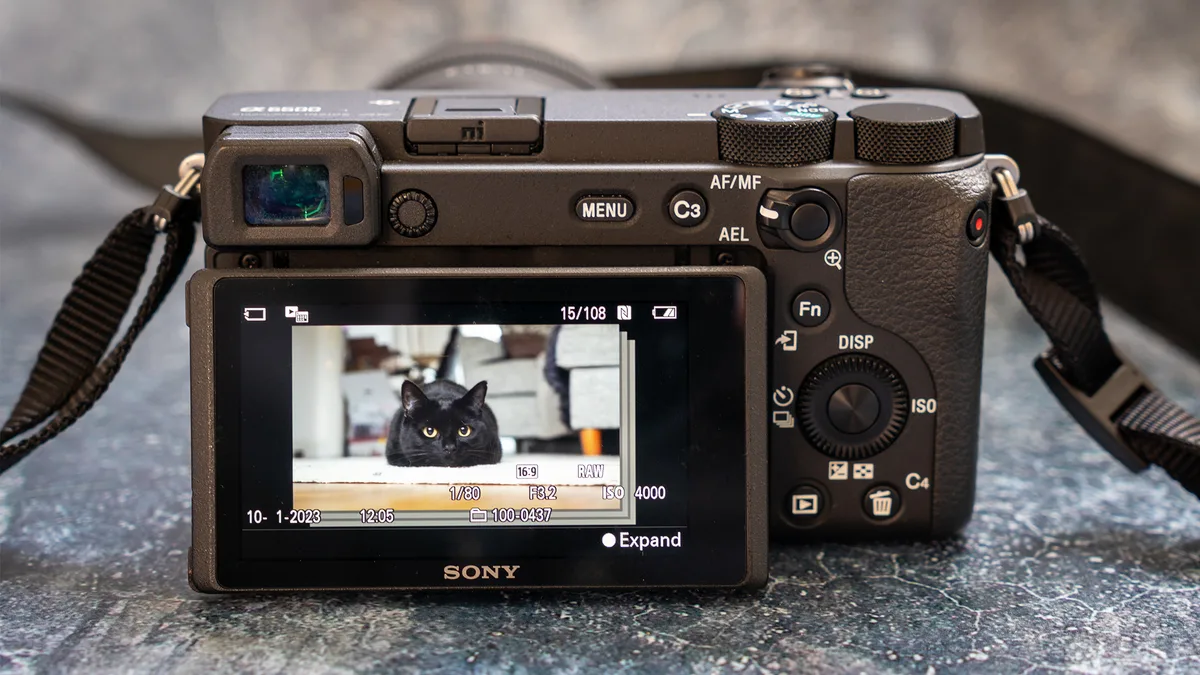 Sony A6600 WiFi not working