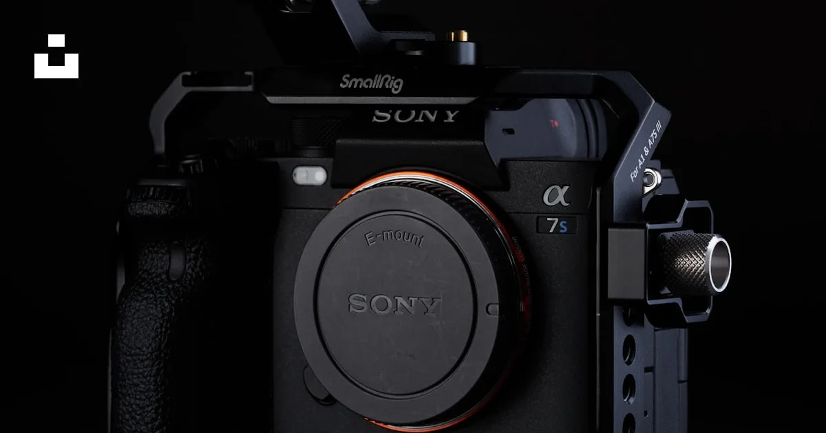 Sony A7S III low light settings