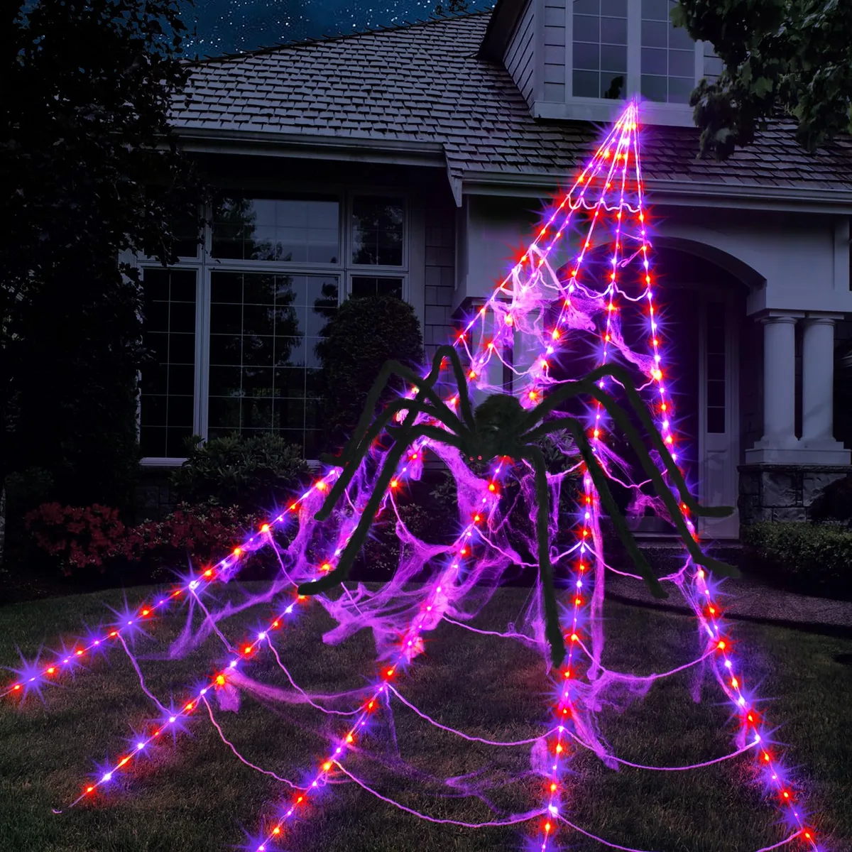Spider web interference camera IR